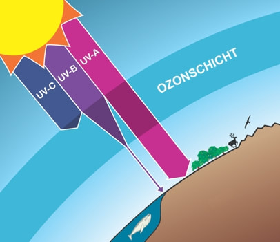 lumeelamp ozon uv-s